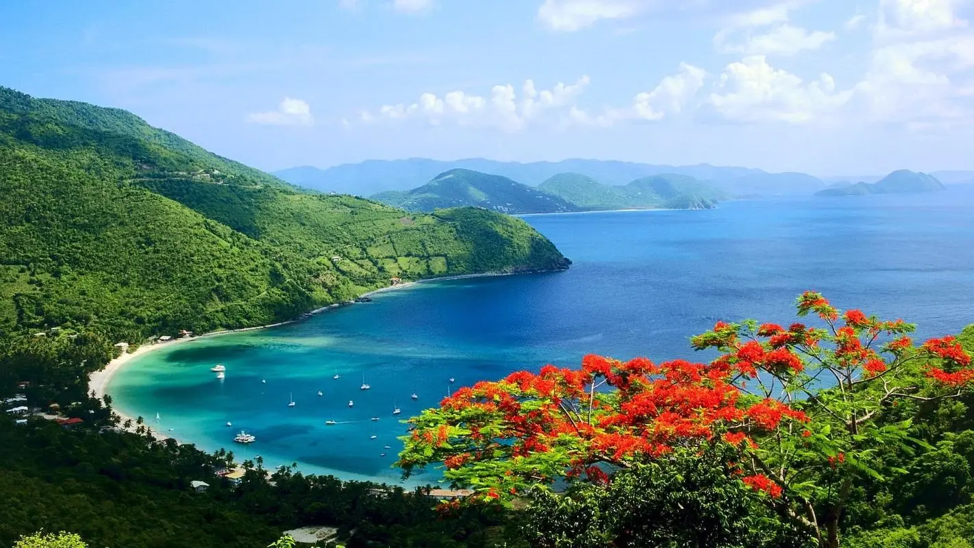 高标准新型科技